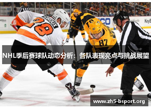 NHL季后赛球队动态分析：各队表现亮点与挑战展望