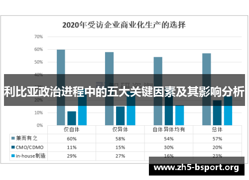 利比亚政治进程中的五大关键因素及其影响分析