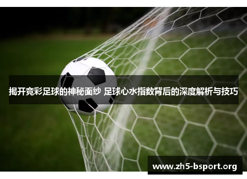 揭开竞彩足球的神秘面纱 足球心水指数背后的深度解析与技巧