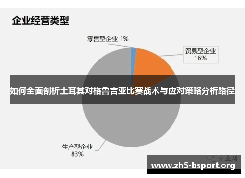 如何全面剖析土耳其对格鲁吉亚比赛战术与应对策略分析路径