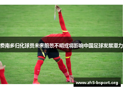 费南多归化球员未来前景不明或将影响中国足球发展潜力