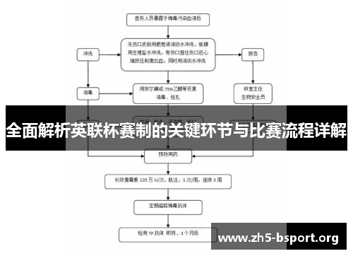 全面解析英联杯赛制的关键环节与比赛流程详解